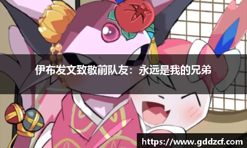 伊布发文致敬前队友：永远是我的兄弟